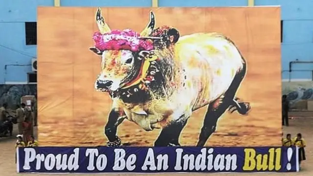 जलीकट्टू