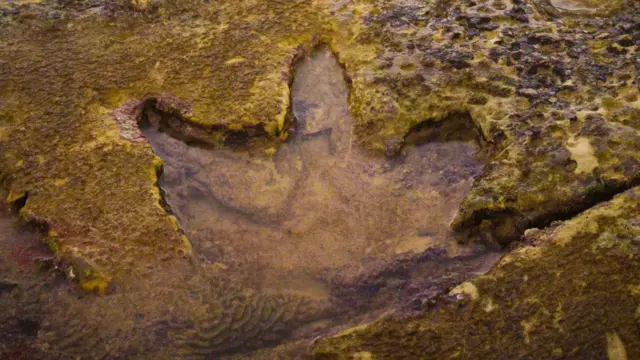 Huellas de dinosaurio en Australia