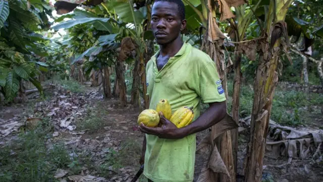 Кот-д'Івуар