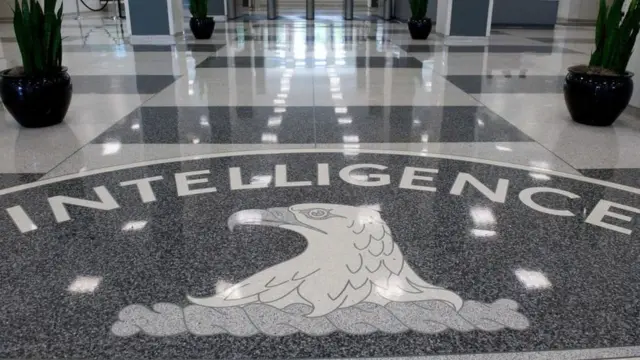 Wikileaks
