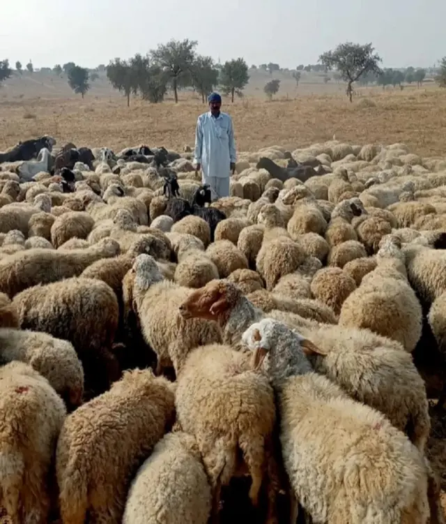 राजस्थान