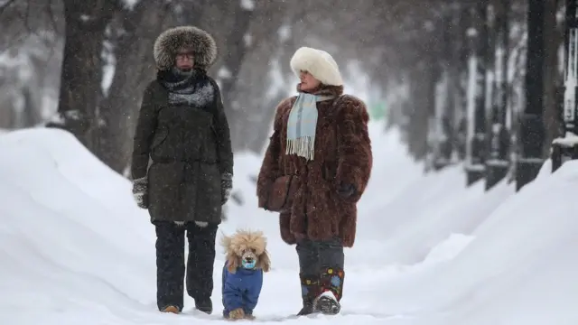 Жители города во время прогулки с собакой на Тверском бульваре