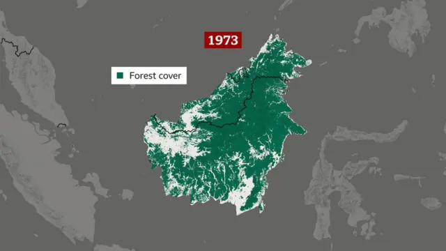 అటవీ ప్రాంతం