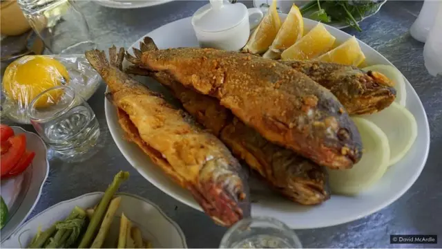 నఖ్చివాన్