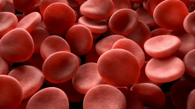 Red Blood Cells, Illustration