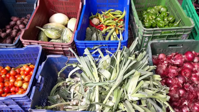 अर्गानिक तरकारी बजार