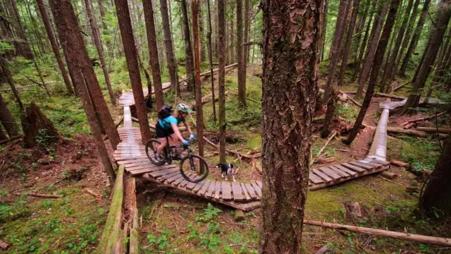Ciclismo de montanha em Cumberland