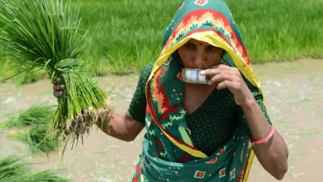 ગ્રામીણ મહિલાની તસવીર