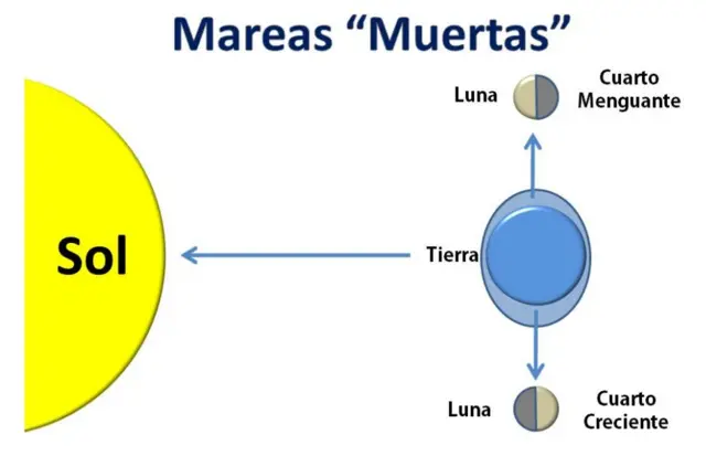 Mareas muertas