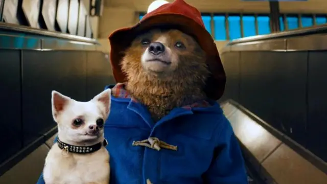 Приключения Паддингтона