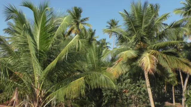 சேலம்-சென்னை 8 வழிச்சாலையை எதிர்க்கும் கட்சிகளுக்கு களப்பணி செய்ய தயார் - விவசாயிகள்