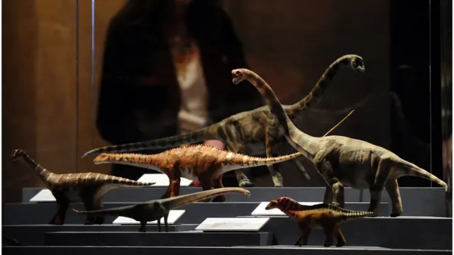 ซอโรพอด