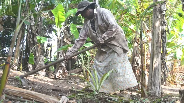 Drought in Sri Lanka