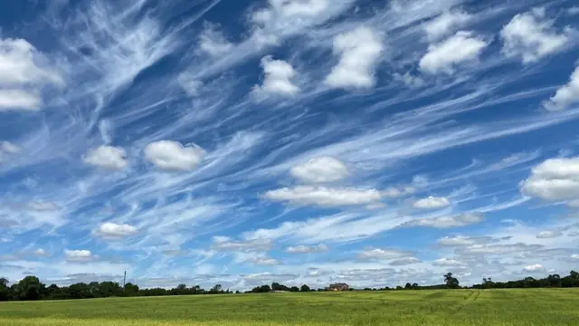 A sky filled with cirrus uncinus clouds, often called mares' tails due to their likeness to horse tails, in Leicestershire. Photo by Weather Watcher Nehal.