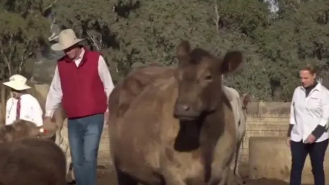 বহু শিশুকেই এখন হাত লাগাতে হচ্ছে পারিবারিক খামারের কাজে