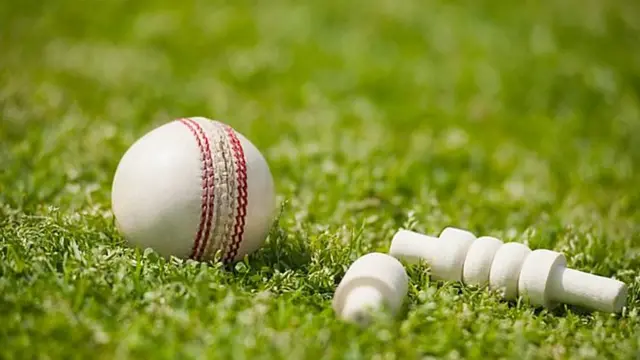 INDvsSA, T20I, T20 Cricket