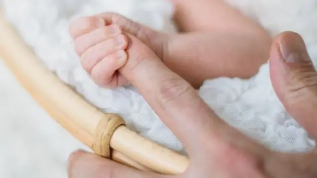 الحمل والولادة