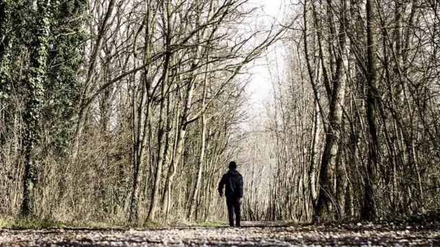 Foto de un lector de BBC Mundo por el tema "bosques"