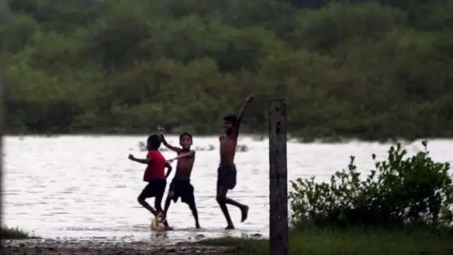 कांदळवन