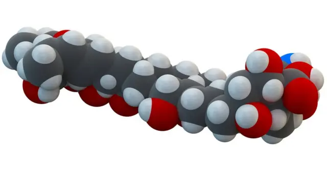 ઍમ્પોટૅરેસિન મૉલેક્યુલનું મૉડલ