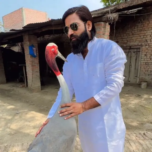 सारस और दोस्ती