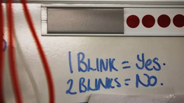 Cartel con un "Sí" y un "No"