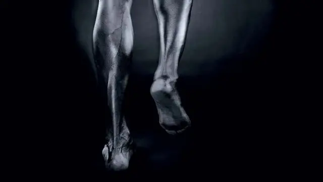 Без сильного ахиллова сухожилия древний человек далеко бы не убежал