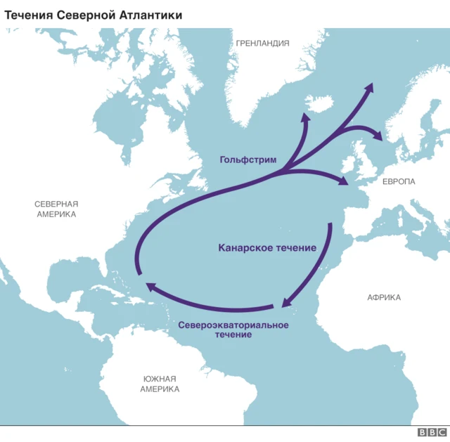 течения северной атлантики