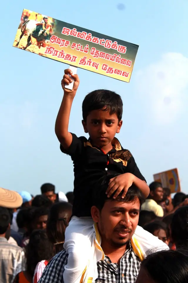 மெரினாவில் ஜல்லிக்கட்டு ஆதரவாளர் - முகிலன், சென்னை