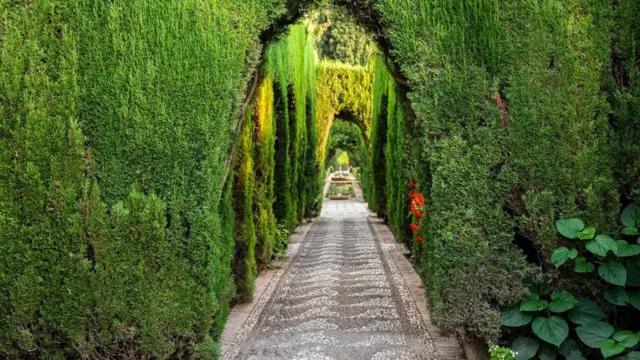 Ce système complexe donne de la couleur aux célèbres jardins du Generalife, l'ancien palais d'été voisin de l'Alhambra