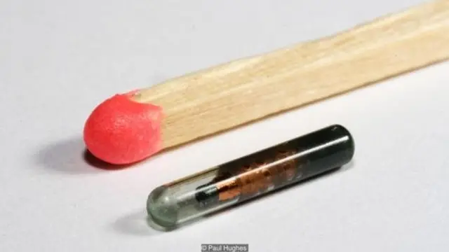 माइक्रोचिप