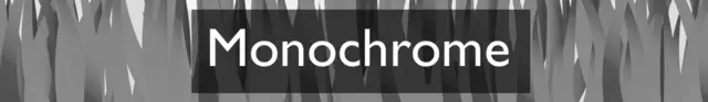 Section heading: Monochrome