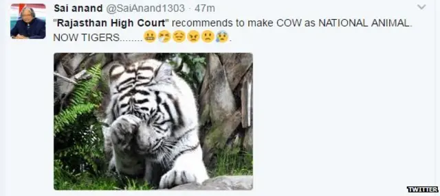 गाय, गोहत्या, बीफ, बीजेपी, कांग्रेस