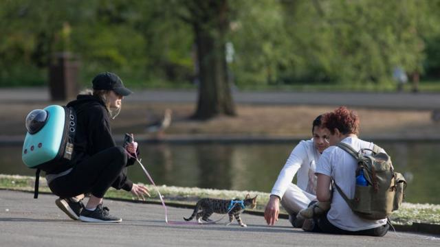 Молодые люди, девушка и кот в лондонском парке