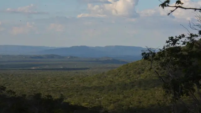 Vista da caatinga