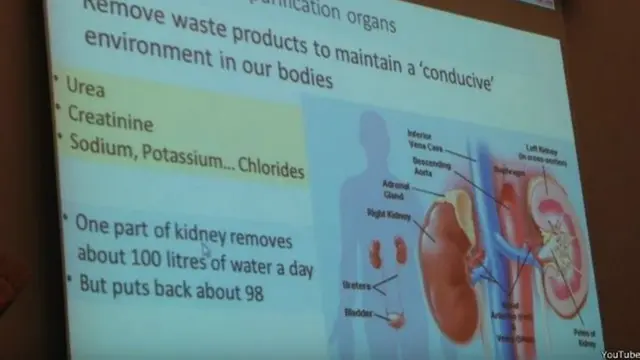 වකුගඩු රෝගය පිළිබඳ පැහැදිලි කිරීමක්