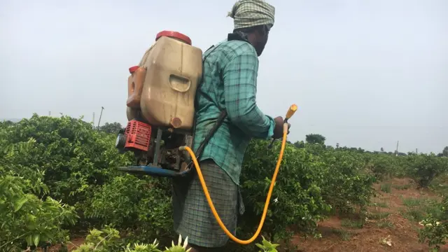 రాజధాని అమరావతి