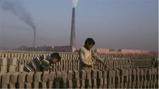 পুড়িয়ে ইট তৈরির জন্য ফসলি জমির উর্বর মাটি ব্যবহার করায় ক্ষতি হয় কৃষিজমির