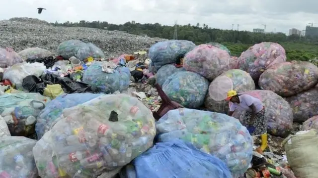 Plastic Pollution