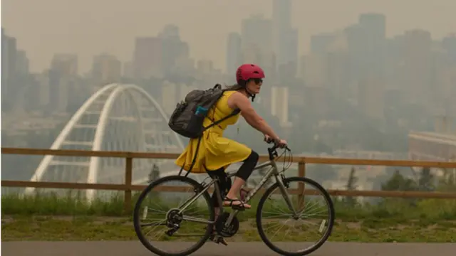 వ్యాయామం