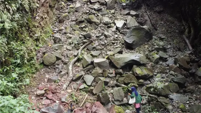 Perempuan, ibu rumah tangga, penjaga hutan, Aceh