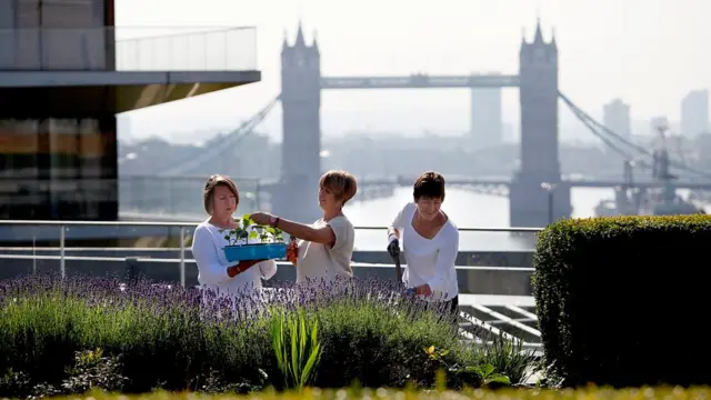 Mujeres en un jardín en Londres