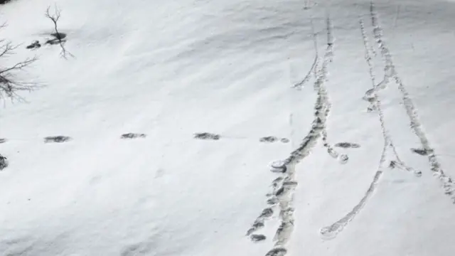 యతీల పాదముద్రలుగా చెబుతున్న చిత్రం