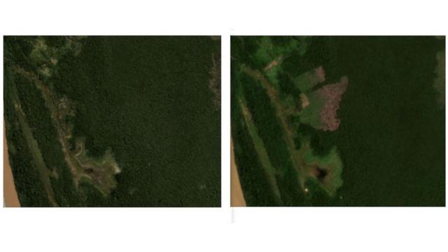 Imagens de satélite mostram desmatamento em lote anunciado no Facebook