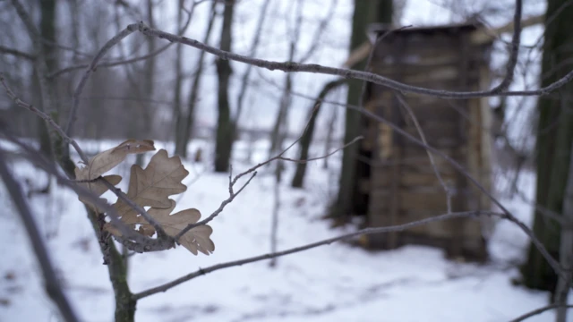 Палаточный лагерь