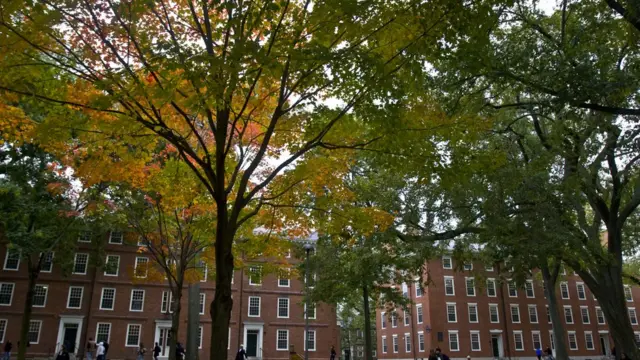 Fotografia colorida mostra um dos prédios da Universidadesua apostaHarvard