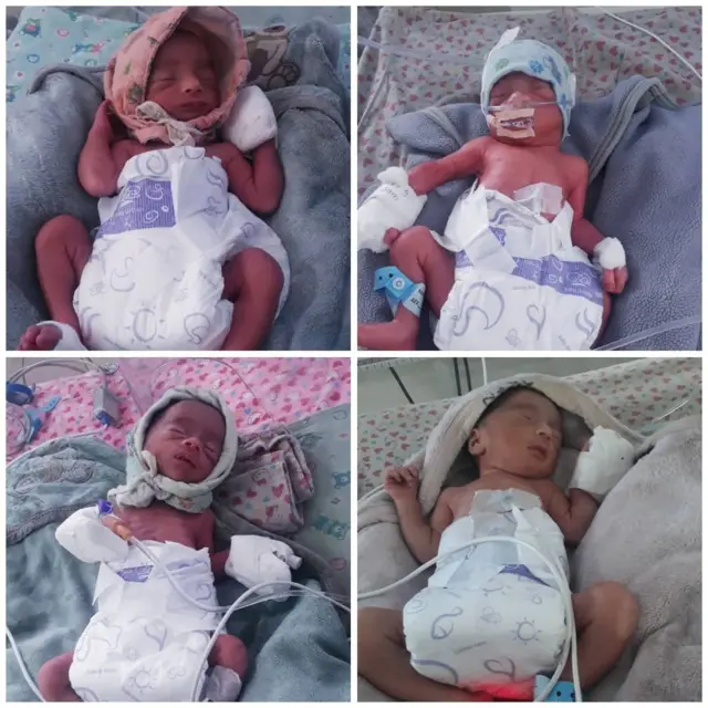 चम्ल्याहा