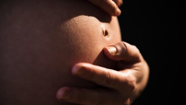 Niveles de plomo en la sangre en mujeres embarazadas y madres