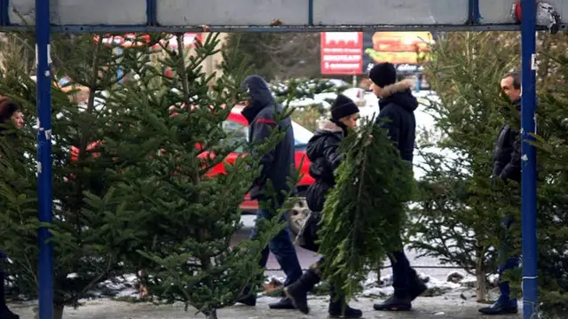 Ялинковий базар в Ужгороді