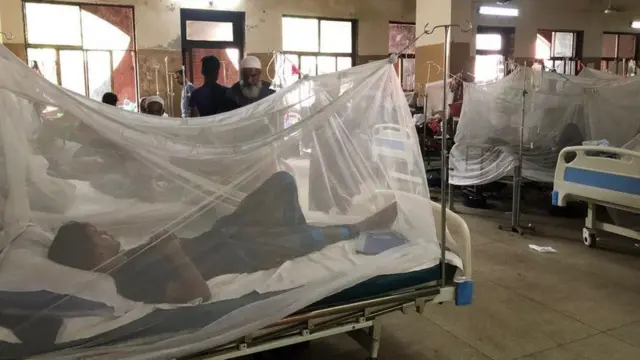 ঢাকার একটি হাসপাতালে মশারির ভেতর রেখে ডেঙ্গু রোগীদের চিকিৎসা দেয়া হচ্ছে